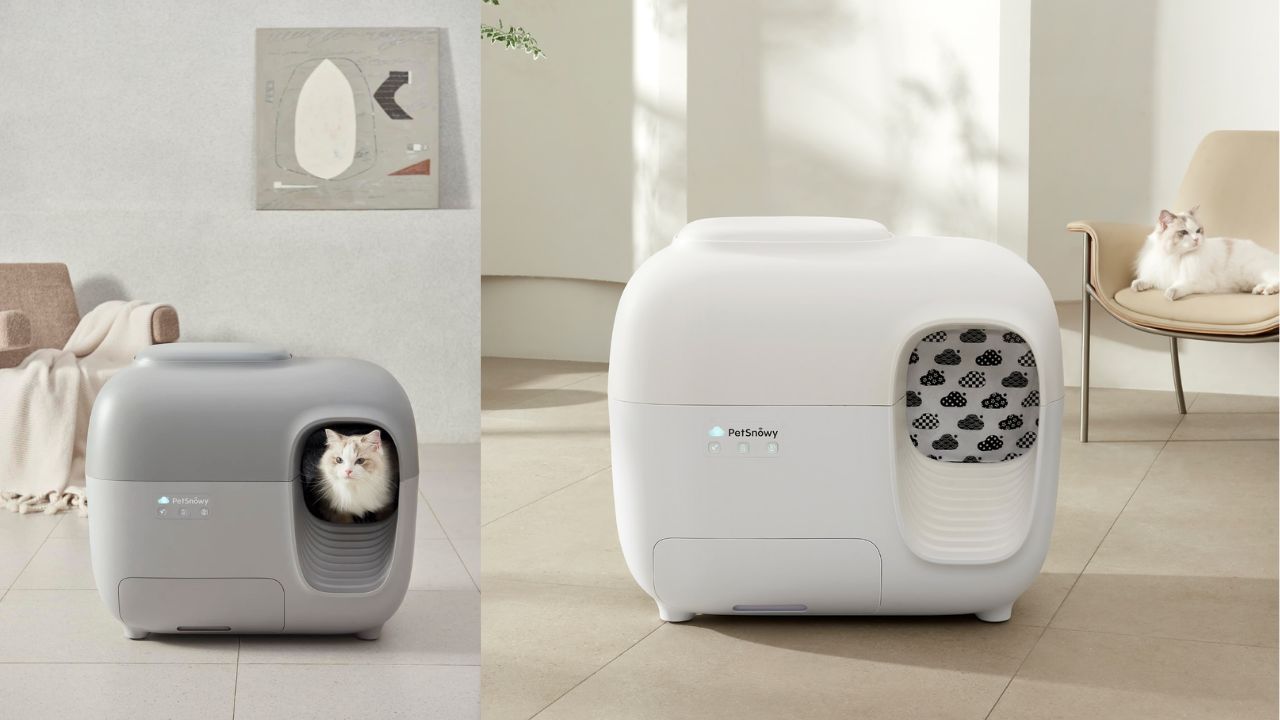 PetSnowy’s Smart Features: How Remote Control Can Simplify Cat Care